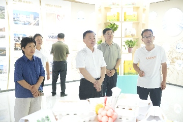 【長(zhǎng)田動(dòng)態(tài)】區(qū)政協(xié)黨組書(shū)記、主席呼廷貴一行蒞臨易豐農(nóng)業(yè)開(kāi)展專題調(diào)研?